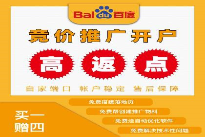百度SEO推广策略：如何快速提升网站排名？——案例详解
